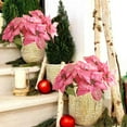 thumbnail image 6 of 8 Pack Poinsettia Flowers Artificial Christmas Decorations Christmas Poinsettia Flowers for Christmas Tree Poinsettias Artificial Flowers for Xmas Decor DIY for Home Vase Indoor Outdoor Garden, 6 of 6
