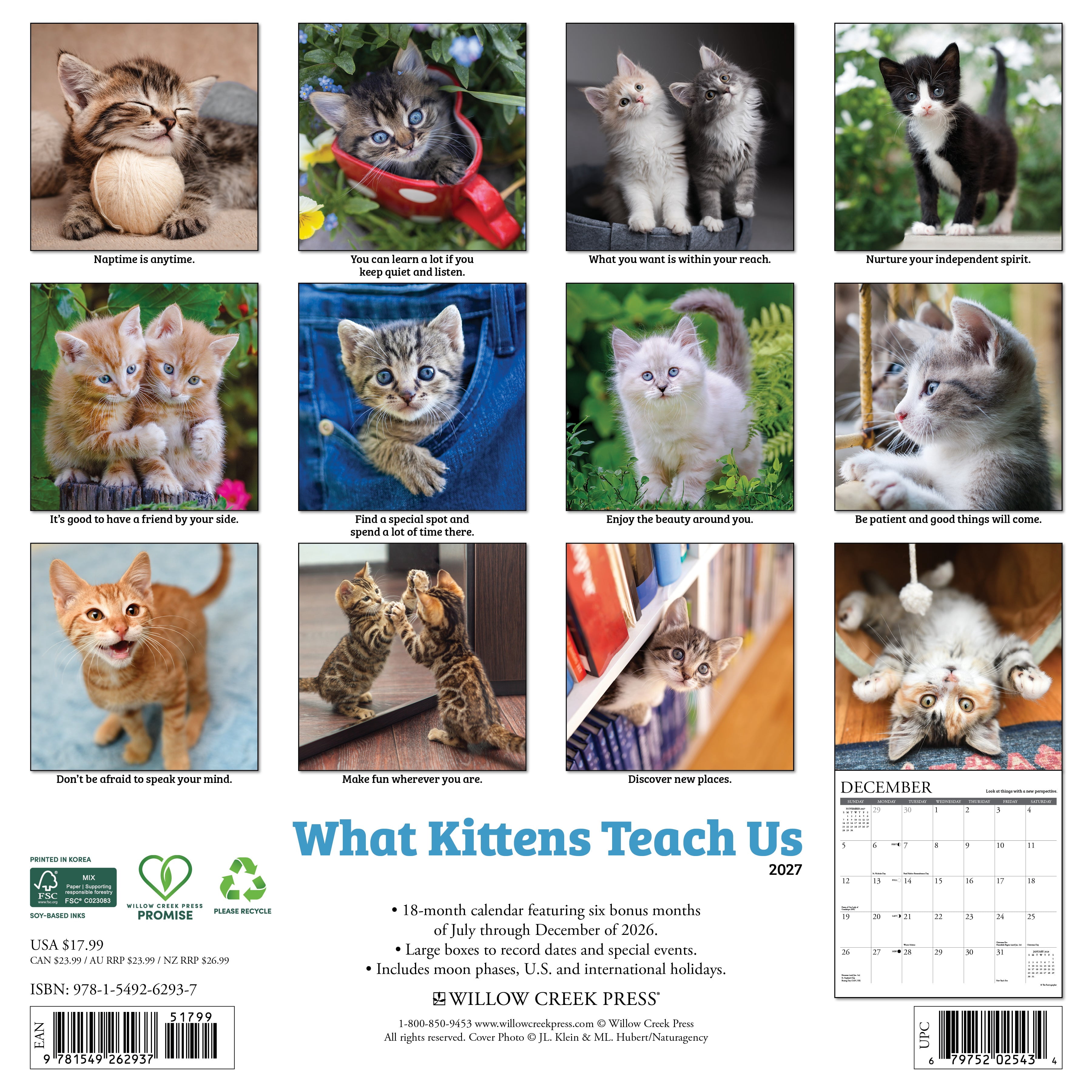 Willow Creek Press, What Kittens Teach Us 2027 Wall Calendar