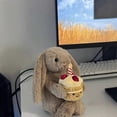 thumbnail image 3 of Birthday Cake Bunny Plush Toy, Shy Bunny Soft Stuffed Toy, Birthday Gift for Kids and Adults, 3 of 5