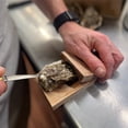 thumbnail image 3 of New Wooden Oyster Opener Tool - Safe & Convenient Shucking Clamp with Non-Slip Design, Hand Protector for Easy Seafood Preparation, 13x8x8cm Kitchen Accessory for Home Chefs, 3 of 6