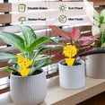 thumbnail image 6 of Minzimin 50 Sheets Fruit Fly Sticky Traps for Fruit Fly Gnat Trap for House Indoors Sticky Traps Catcher for Gnats Fungus Gnats Mosquito Catcher Kitchen Outdoor Plants Classic Style, 6 of 7