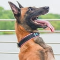 thumbnail image 4 of MesaSe Colliers pour Chiens - Collier Réfléchissant avec Boucle en Métal Durable Collier d'Entraînement en Nylon Réglable Adapté aux Chiots pour Petits Moyens Grands Chiens, 4 of 4