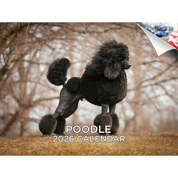 2025 2026 Poodle Calendar - Dog Breed Monthly Wall Calendar - 12 x 18 Open - Thick No-Bleed Paper - Giftable - Made in USA