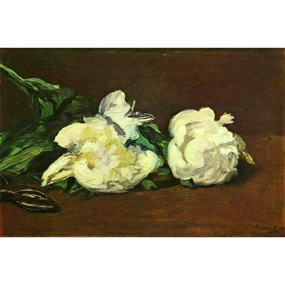 White Rose - CANVAS OR FINE PRINT WALL ART