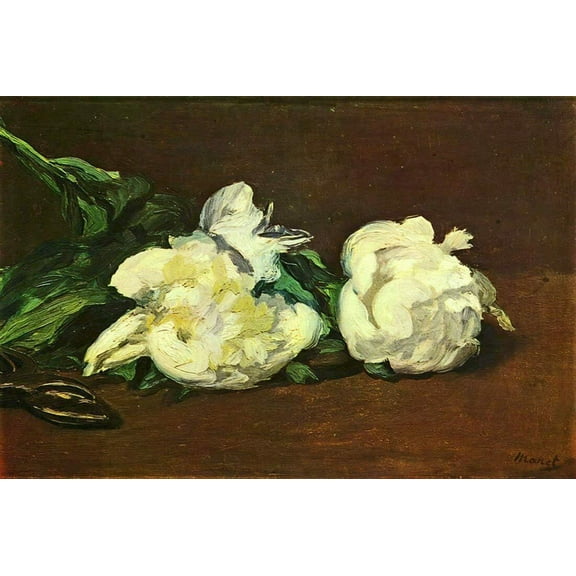 White Rose - CANVAS OR FINE PRINT WALL ART