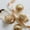 #0888-A, variant on BAOPAI 4pc Handcrafted Glass Ornaments Irregular Shaped Pineapple Pumpkin Design Light Refracting Decor for Holiday Tree Home Office Festive Party