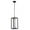 Black, variant on Craftmade Lighting - Neo - 1 Light Outdoor Pendant In Transitional Style-18