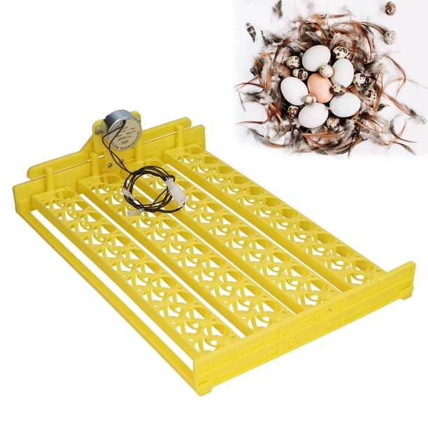 Bandeja Giratoria Automática para Huevos con Motor Liviana de Poco Ruido Diseño y Ventilación Razonables Incubadora Eficiente de 88 Piezas para Huevos de Codorniz ANGGREK Otros