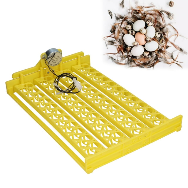Bandeja Giratoria Automática para Huevos con Motor Liviana de Poco Ruido Diseño y Ventilación Razonables Incubadora Eficiente de 88 Piezas para Huevos de Codorniz ANGGREK Otros