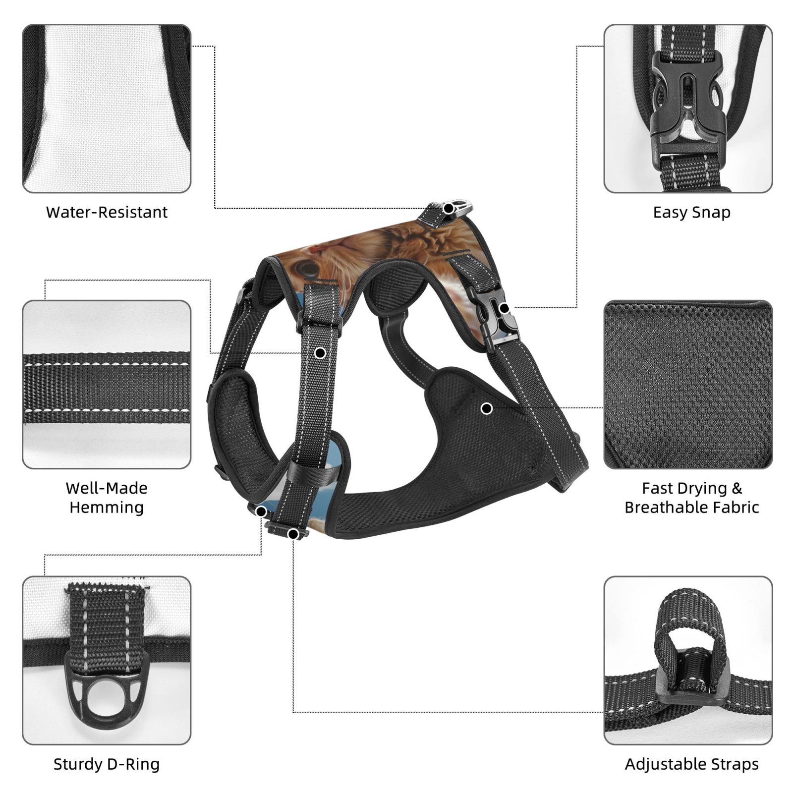 Vsdgher Playful Cat Fisheye View Dog Harness, No-Pull Pet Harness, Dog Vest, Pet Vest for Small to Large Dogs-X-Large