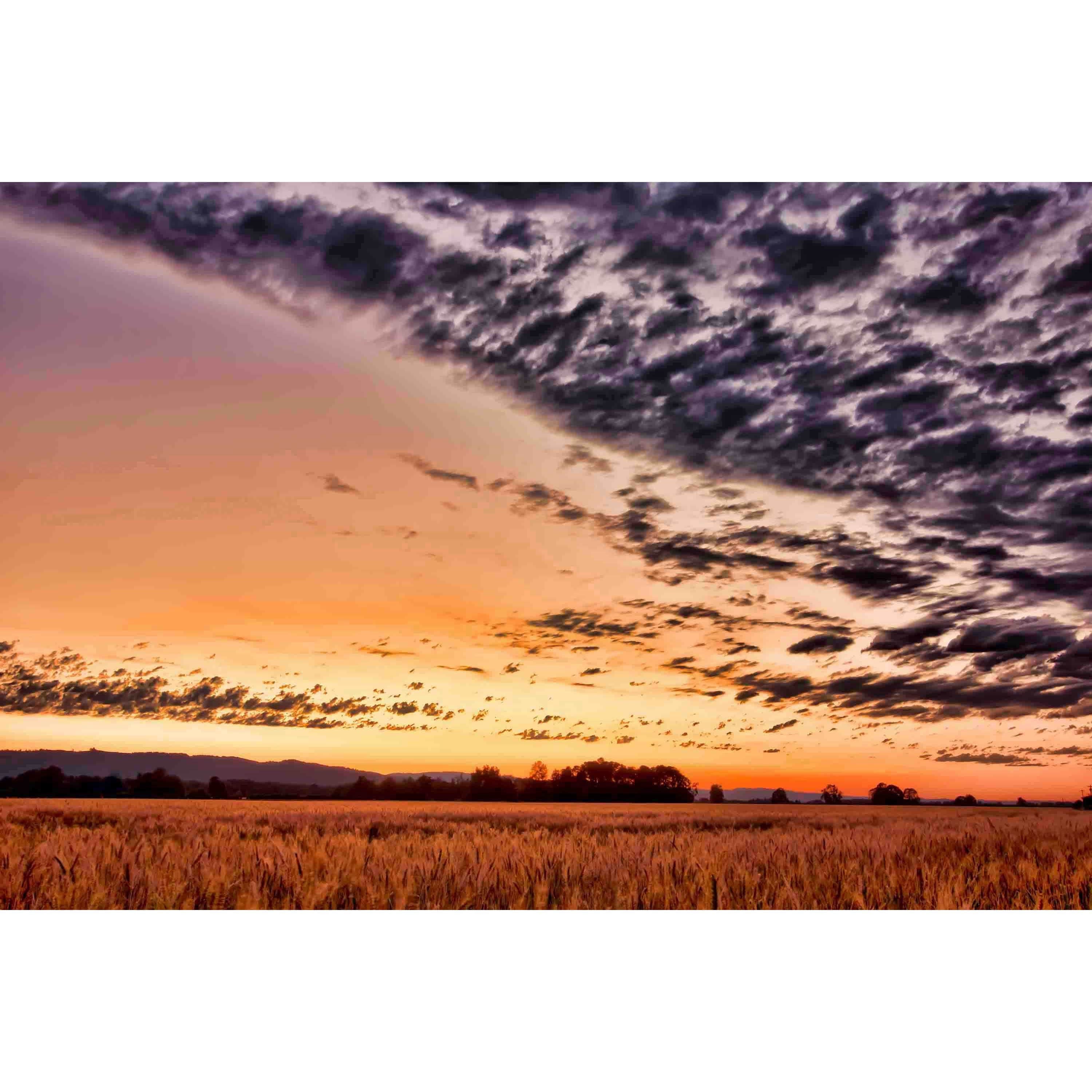 Marmont Hill "Slice of Summer Heaven" Painting Print on Canvas