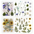 thumbnail image 3 of 1 Bag Dried Flowers Diy Pressed Flowers Stickers for Phone Case Jewelry Making Crafts Nail Art Decor, 3 of 8
