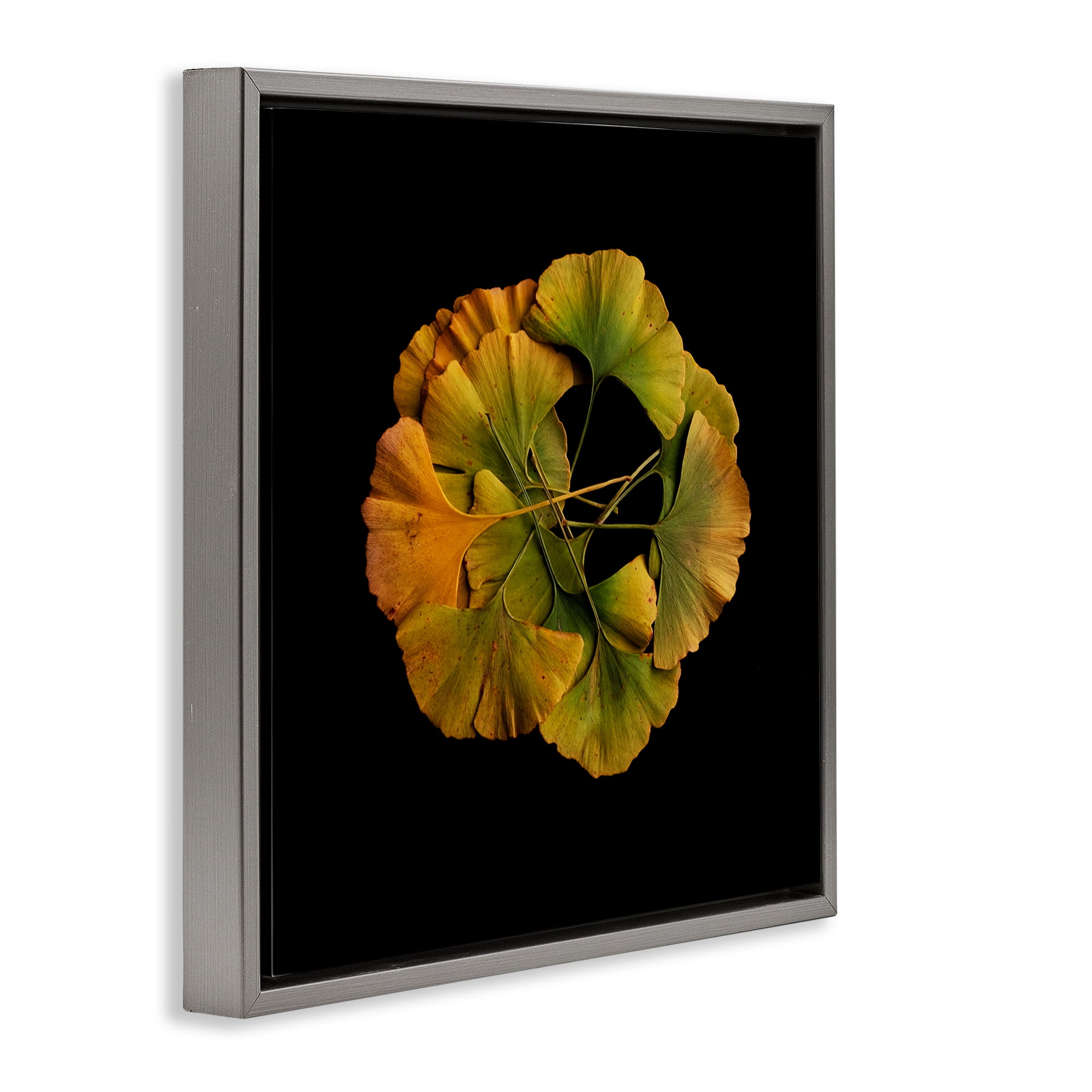 Stupell Industries Overlapping Ginkgo Leaves Gray Framed Floater Canvas Wall Art, design by Beth Adoette