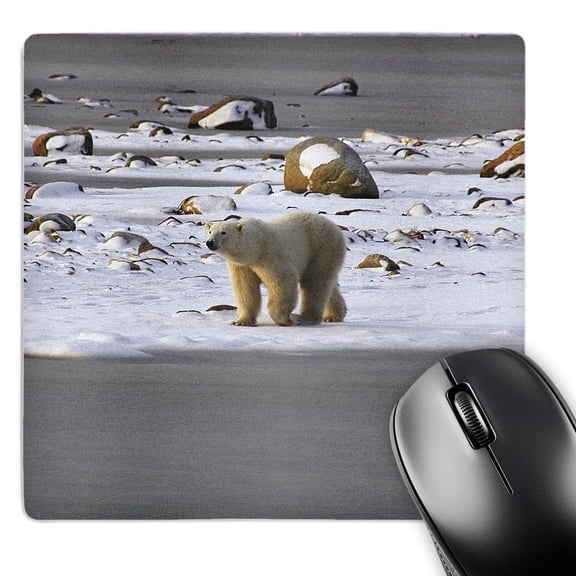 3dRose, Polar Bears, MousePad
