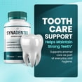 thumbnail image 6 of Synadentix Dental Support Capsules, Syna Dentix Natural Tooth & Gum Supplement, 1 Pack, 60 Capsules, 6 of 8