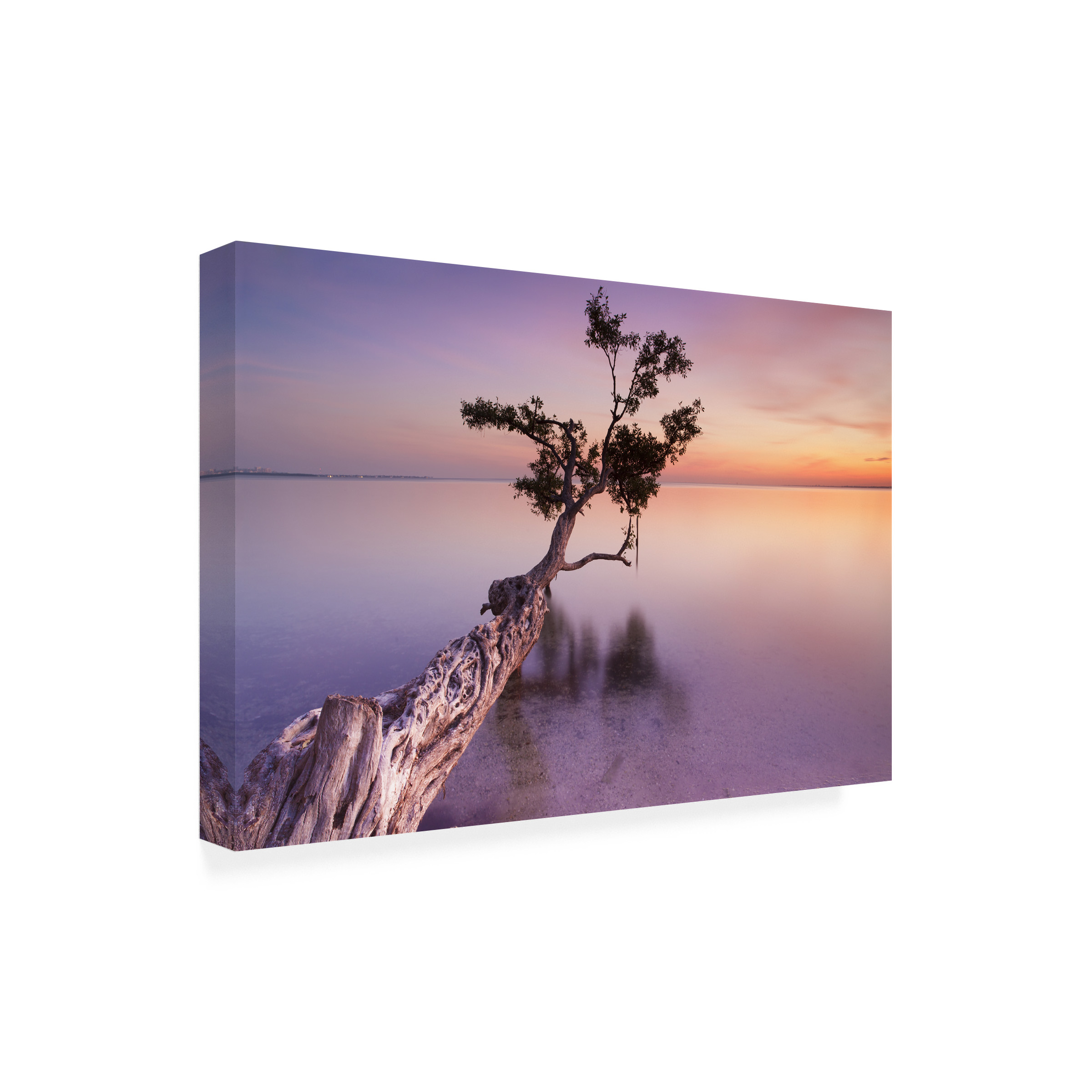 Trademark Fine Art "Water Tree XI" Canvas Art by Moises Levy