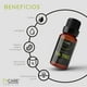 thumbnail image 4 of Aceite Esencial de Tea Tree (Árbol de Té) (Melaleuca Alternifolia) - 15 ML TY CARE ESSENTIAL OIL Aceite Esencial de Tea Tree  (MALALEUCA ALTERNIFOLIA )., 4 of 6