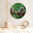 thumbnail image 5 of Kdxio Australian White Tree Frog Sitting on Branch Bone China Decorative Plate Ceramic Decorative Plate for Home Office Wall Stand Decorative Plates for Home Bedroom-10in, 5 of 6