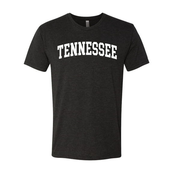 Wild Bobby State of Tennessee College Style Men Premium Tri Blend Tee