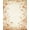 Beige Cream Brown, Pattern 5, variant on ODIKA 8'x10' Washable Area Rug Non-Shedding, Easy Care, Carpetas Vintage Tan Botanical Distressed Scroll Border Faded for King Size Bedroom Under Bed, Master Suite