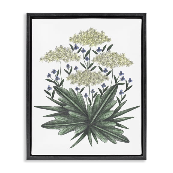 New Roots Vintage Sketch Black Framed Floater Canvas Wall Art, design by Cecilia Battaini
