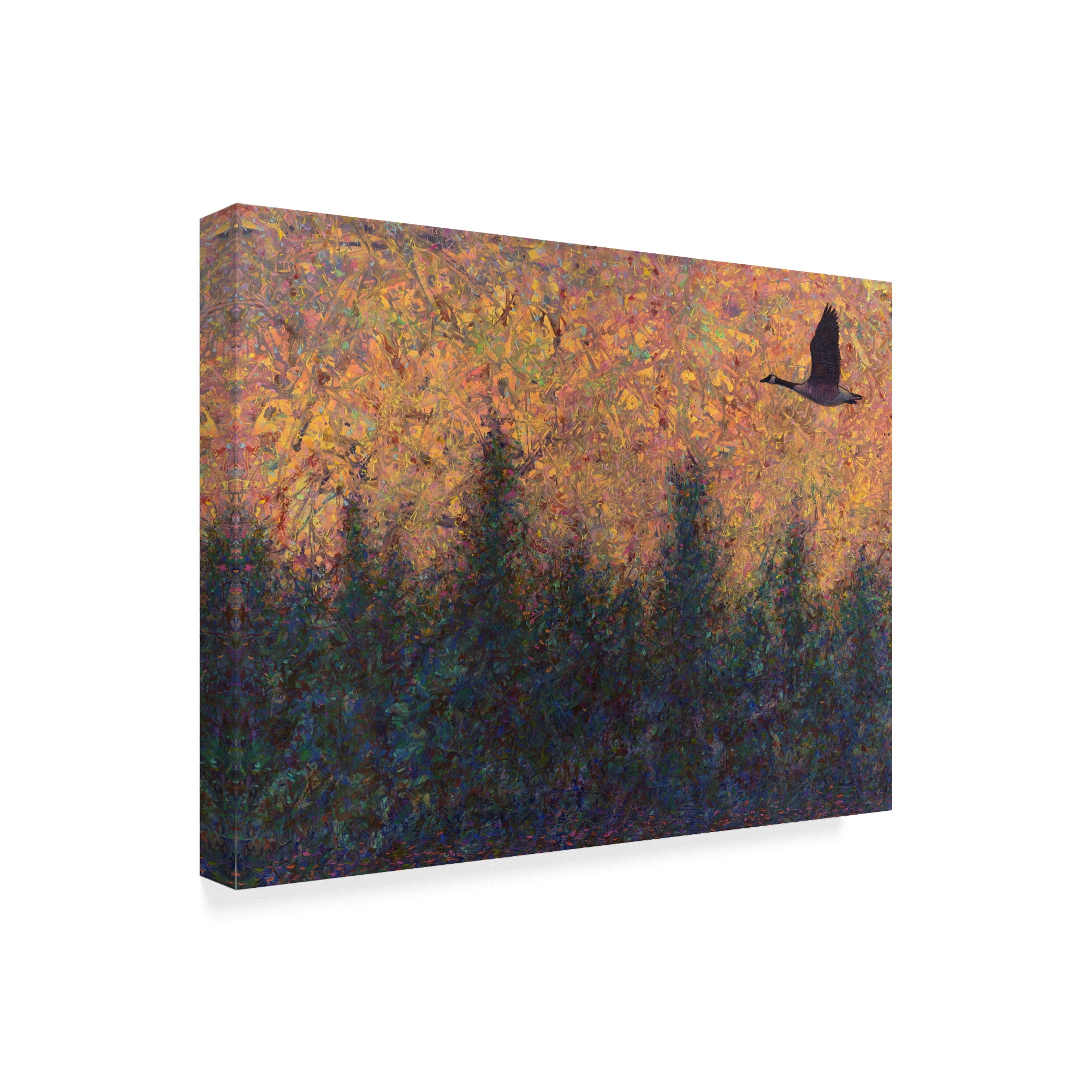 Trademark Fine Art 'Solitary Goose' Canvas Art by James W. Johnson
