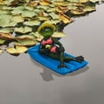 thumbnail image 4 of CARRFA Floating Resin Frog Figurine Pond Decor, Water Floating Frog Ornament, Animal Gardening Gifts for Home Yard Garden Pond Decoration, 4 of 10