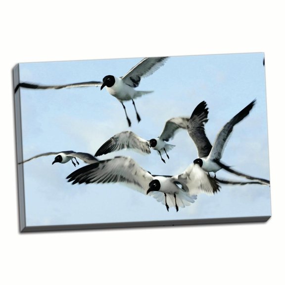 Gango Home Decor Gulls 1 by Alan Hausenflock (Ready to Hang); One 36x24in Hand-Stretched Canvas
