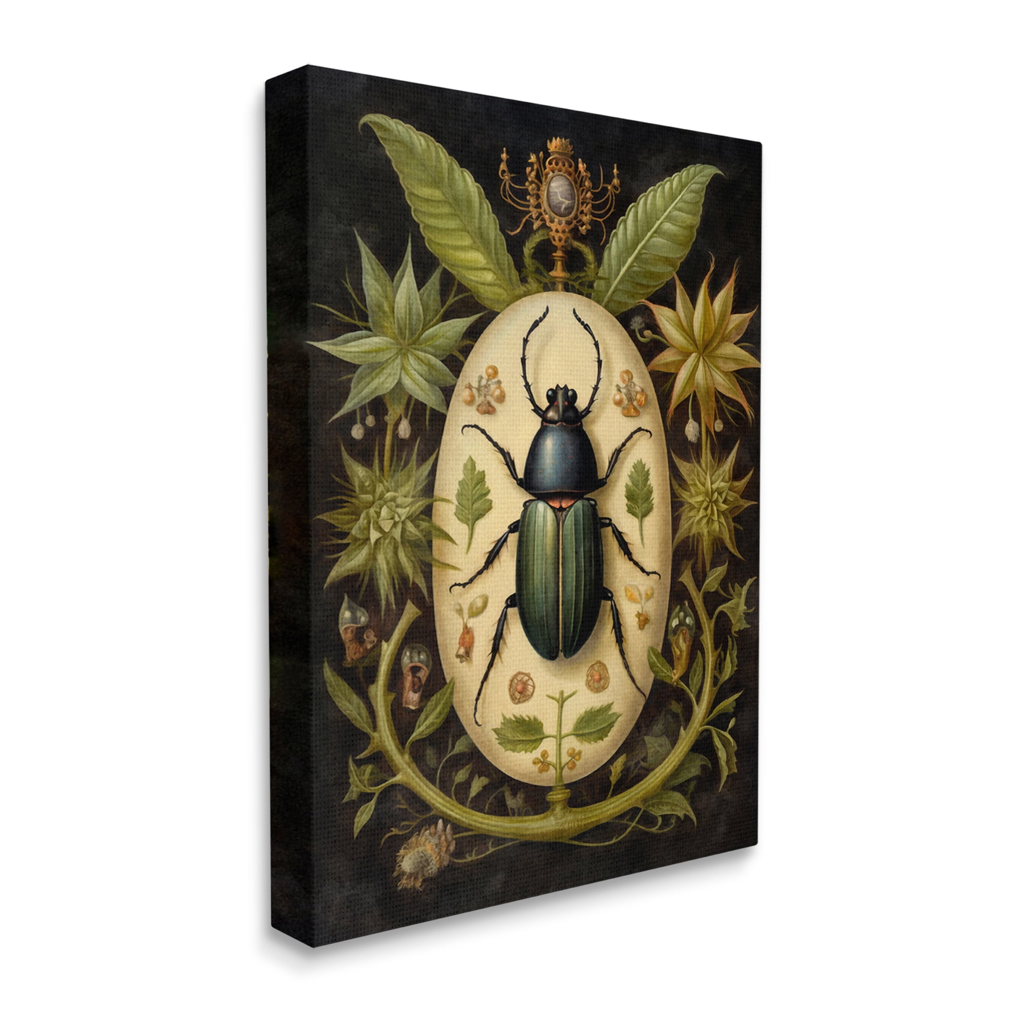 Stupell Industries Vintage Beetle & Botanicals Animals & Insects Painting Gallery Wrapped Canvas Art Print Wall Art, 30 x 40
