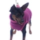 thumbnail image 4 of 2 Piezas Perro Cachorro Invierno Ropa Abrigada Lana Jersey Suéter Abrigo Chaqueta Ropa (L) Rojo Purpura JM, 4 of 5