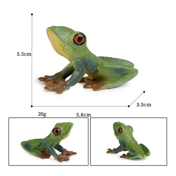 RiToEasysports Kit De Juguete De Rana Renacuajo, Modelo De Ciclo De Crecimiento De Ranidae, Animal De Simulación En Miniatura Para Niños Para Ayudas Educativas Tempranas, Juguete De Estatua De