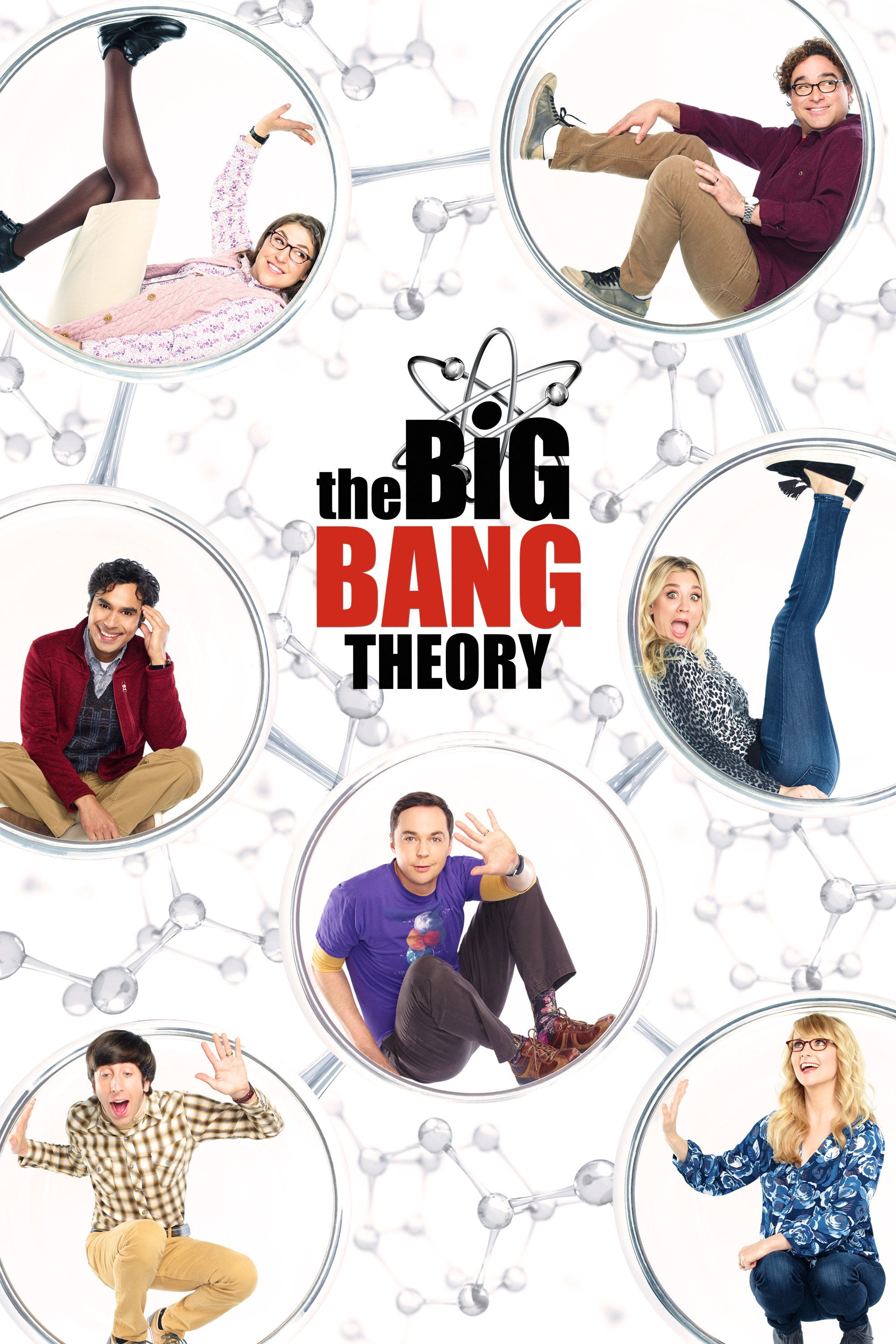 Bigbangtheorycsrdvd