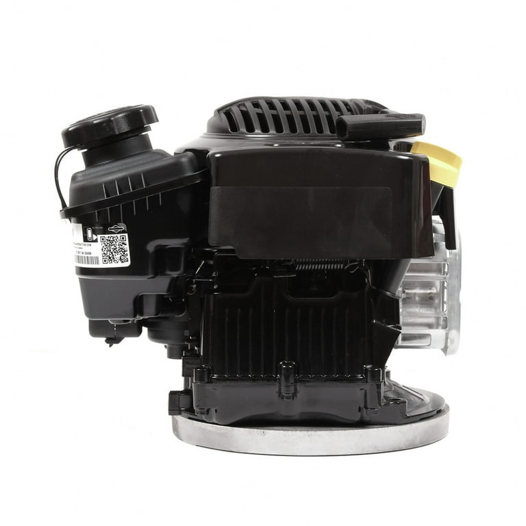 Briggs Stratton 104M02 0197 F1 7.25 GT 163cc Gas Vertical Shaft