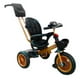 thumbnail image 2 of Triciclo CON Toldo LEE MONDE Gris, 2 of 12