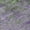 Purple, variant on Addison Rugs Chantille Indoor/Outdoor Transitional Modern Purple Washable Rectangle Rug, 10' x 14'