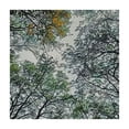thumbnail image 4 of BANET Elastic Edged Polyester Fitted Table Cover, Tree Branch in Look Up Wood Scene Photo Print Fitted Square Tablecloth, Fit Square Table white, 4 of 8