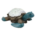 thumbnail image 2 of Nautical Sea Turtle With White Clam Shells In Faux Distressed Wood Finish Statue, 2 of 4