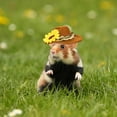thumbnail image 6 of Dalrosia 3PCS Hamster Chicken Mini Cowboy Hats Flower Leaves Brown Guinea Pig Hats Felt Tiny Cute Pet Hat Costume Accessories for Small Pet Holiday Party Clothes Supplies Photo Props, 6 of 7