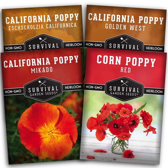 4 Packs Poppy Flower Seeds - California, Golden West, Mikado, Red Corn - Full Sun Annual