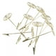 thumbnail image 1 of Portatarjetas de mesa ANGGREK Clips de metal para fotos notas papeles de oficina, 1 of 8