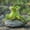 C, variant on Sales Today Clearance! Cute Frog Flower Pot Ornament, Decorative Car Ornament, Fun Frog Plant Pot Decoration, Novelty Home Garden Decor, Indoor/Outdoor Plant Holder, Unique Gift