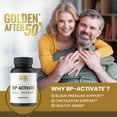 thumbnail image 3 of Golden After 50 BP-Activate - Nitric Oxide Supplement with Essential Amino Acids - Blood Circulation and Heart Health Support Supplement - 800mg L Arginine, AAKG, L Citrulline, 3 of 6