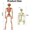 thumbnail image 2 of TETOU 5Pcs Skeleton Hallowe'en Decorations, 14.5" Realistic Plastic Full Body Movable Posable Joints Skeleton for Hallowe'en Party Haunted House Props Indoor Outdoor Decor-2 Orange+3 White, 2 of 7