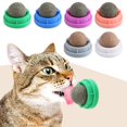 thumbnail image 2 of Buy Inralimot 1 Pack Silvervine Cat Toy, Silvervine Sticks Cat Toys For 2 of 11