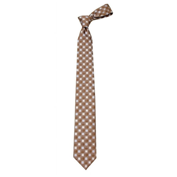 Boys Brown and Taupe Fashion Necktie Ties