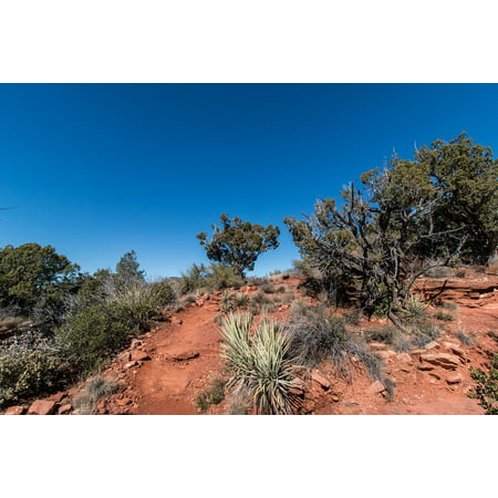 Canvas Print Trail Arizona Desert Sedona Hiking Landscape Red Stretched Canvas 10 x