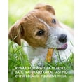 thumbnail image 3 of Canine Naturals - Hide Free Chicken Recipe Sticks for Dogs - 10 Count - 100% Rawhide Free Chew, 3 of 10