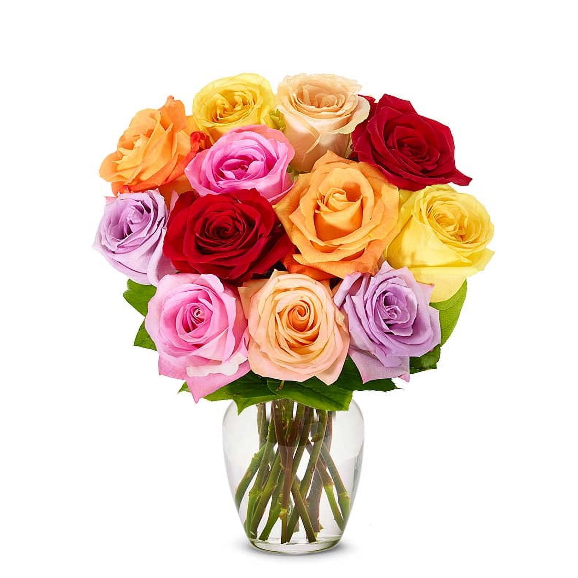 From You Flowers One Dozen Mixed Rainbow Roses