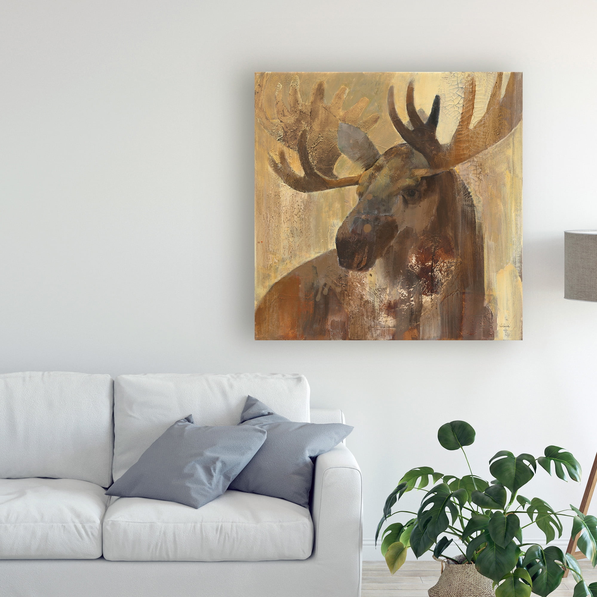 Trademark Fine Art 'Into The Wild Ii' Canvas Art by Albena Hristova