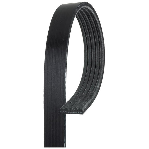 ACDelco V-Ribbed Serpen (B)